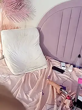 Nalapalmer webcam