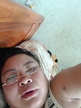 Sella-A webcam