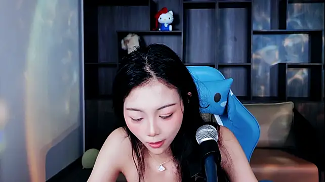 Lanmei01 webcam