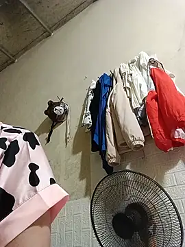 Sana-vn webcam