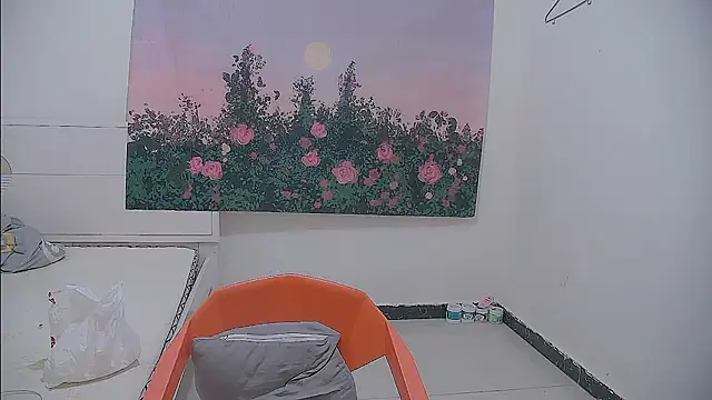 paofu-001 webcam
