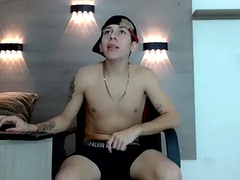 Gaeliitto webcam