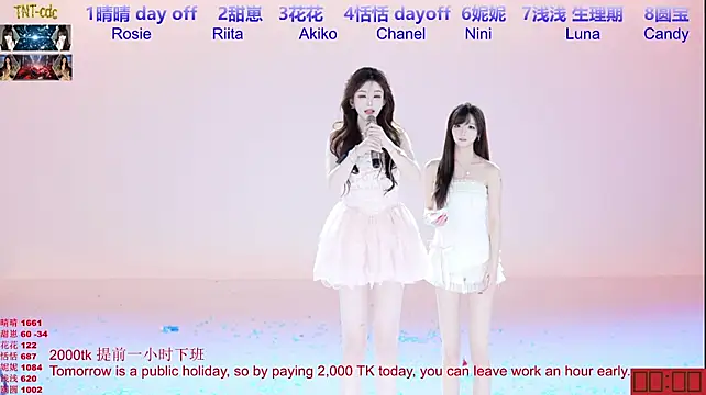 TNT-cdc webcam