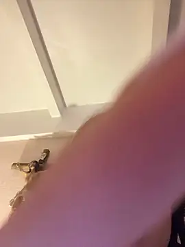 bratystar