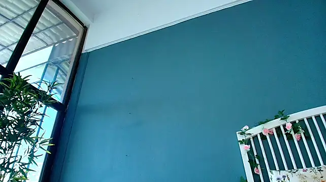 AlicePirs webcam