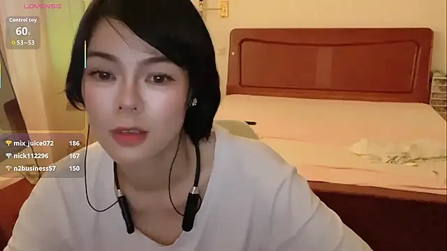 Linda-LL webcam