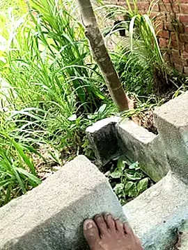 upwalebhaiya webcam