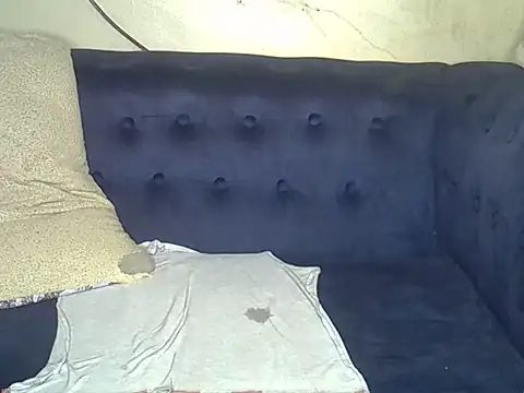 babyzillan webcam