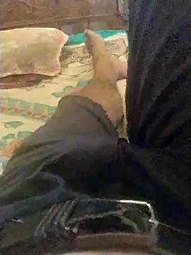 ahnuj91 webcam