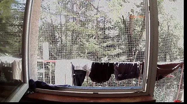 Harmonae webcam