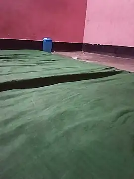 PALAK9599 webcam