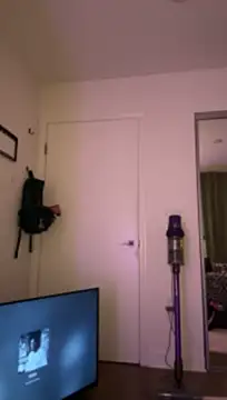 allpawgsgotoheaven webcam