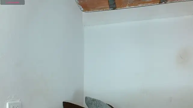 Alexa_priincess two way video chat