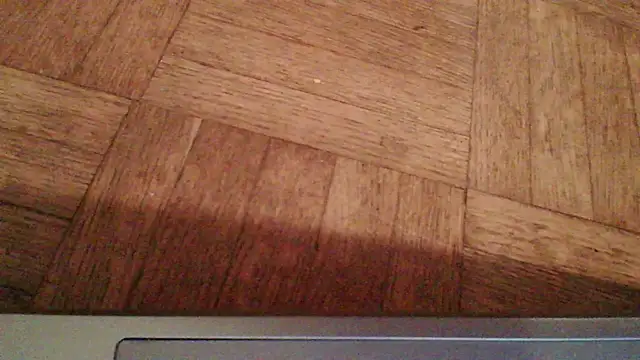 ludowrss webcam