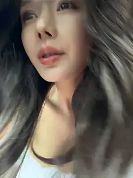 BBi-0329 webcam