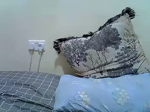 verl1 webcam