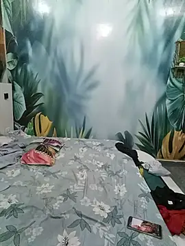 Model_0088 webcam