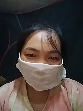 Hiha-nn webcam