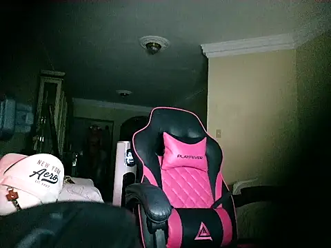 gnesis69 webcam