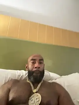 QHefner52 webcam
