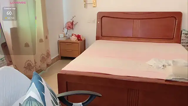Linda-LL webcam