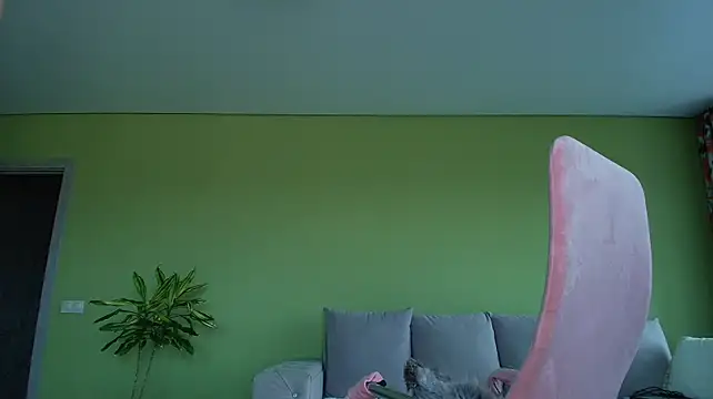 Cuddle_Cat webcam