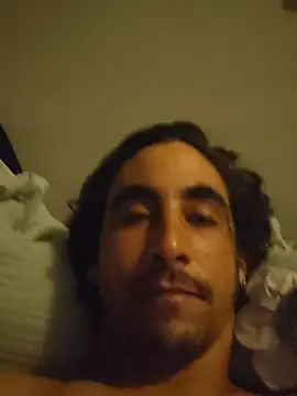 CAVP420 webcam