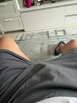 CheapFan55 webcam