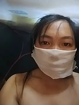 Hiha-nn webcam