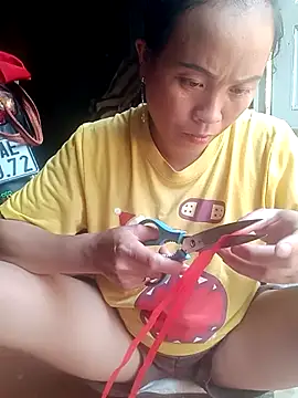 phuongtrinh1 webcam