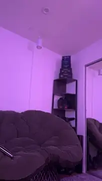 allpawgsgotoheaven webcam