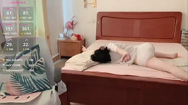 Linda-LL webcam