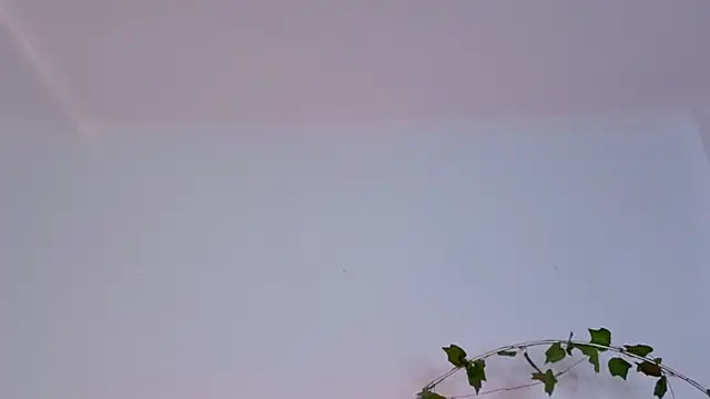 Miless_Cooper webcam