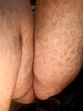 big__bearrr webcam
