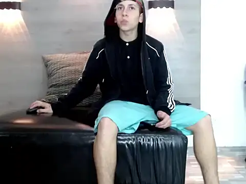 Gaeliitto webcam