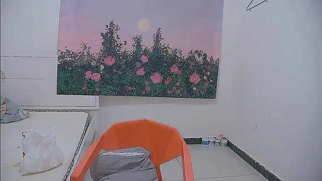 paofu-001 webcam