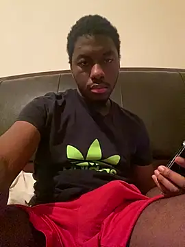 ThickDic28 webcam