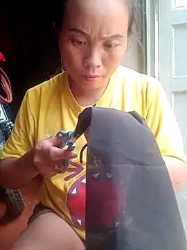 phuongtrinh1 webcam