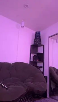 allpawgsgotoheaven webcam