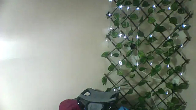 Mich76 webcam