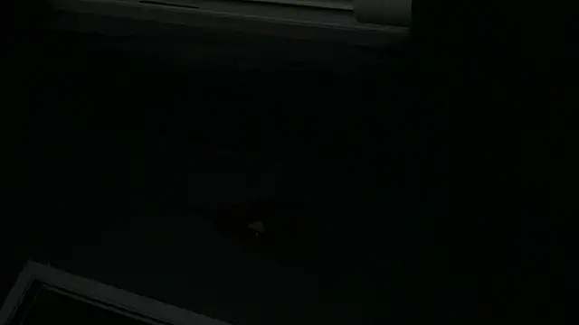 spunncumer webcam