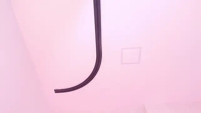 _carolina_fox webcam