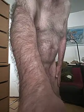 briochin webcam