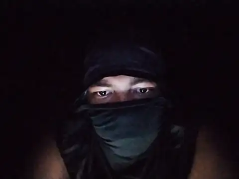 AleRegio webcam