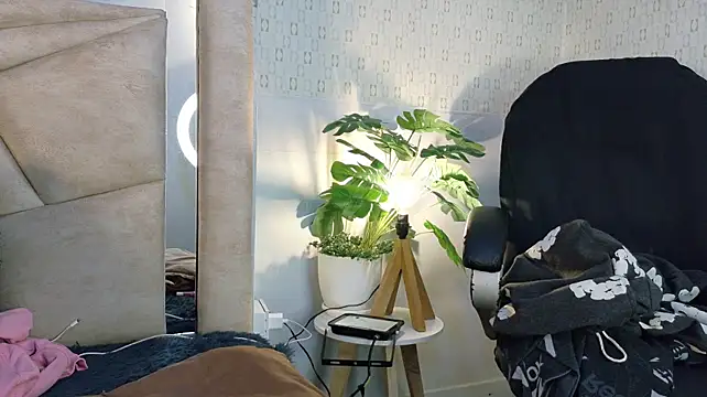 Evie_demn webcam