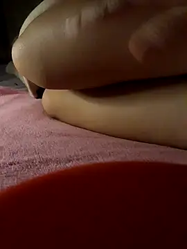 -Tara-a webcam