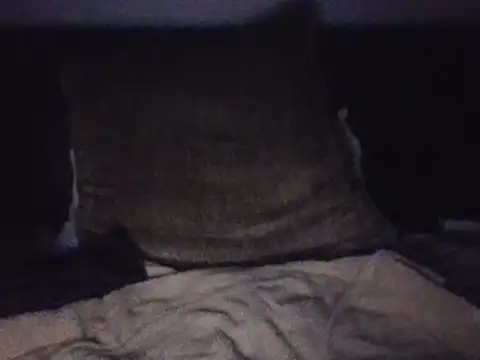 papichulochuallavida webcam