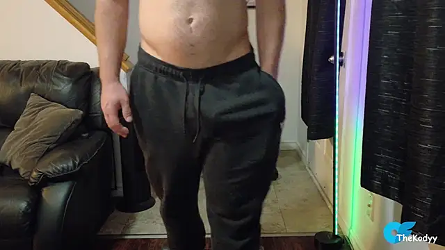 Thekodyy webcam