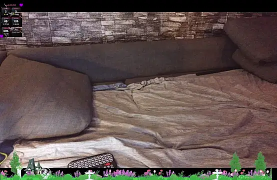 th1_ webcam