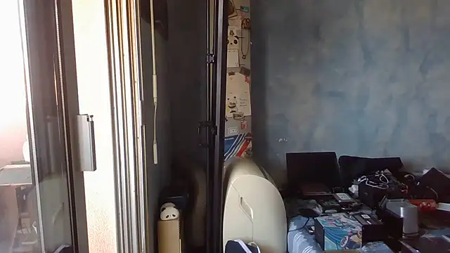 panda_06200 webcam